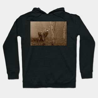 White-tailed Deer Buck in Sepia Hoodie